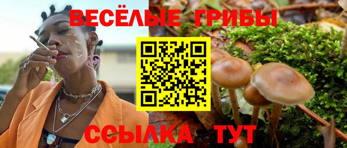 Фролово  Галлюциногенные грибы GOLDEN TEACHER  Вход с VPN 